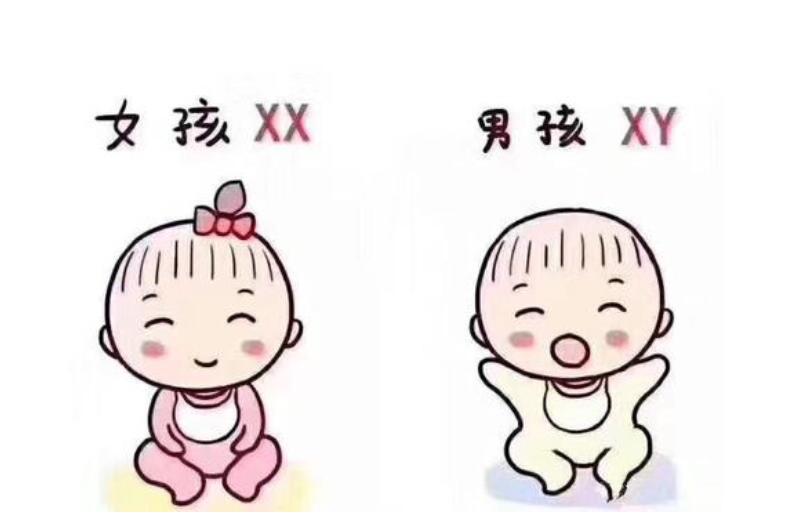 男人不育