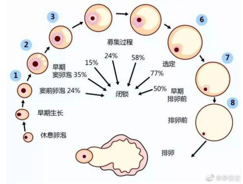 生男生女顺口溜