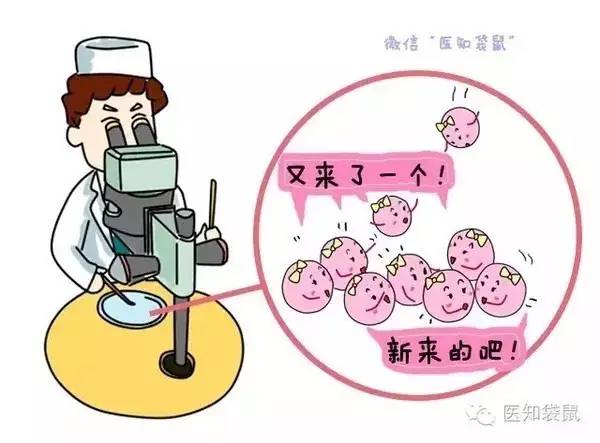 生长纹