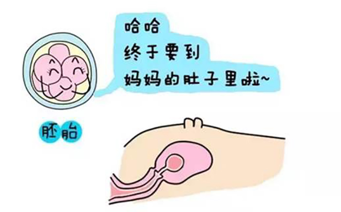 妊娠纹