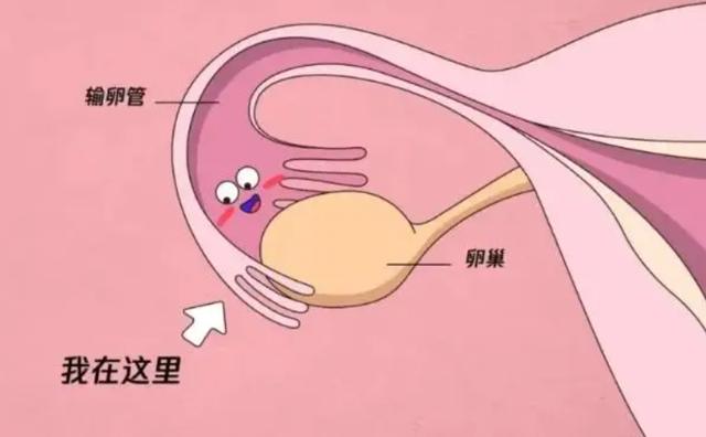 男性不孕不育