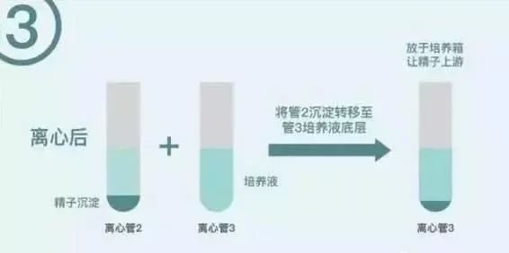 生化检测