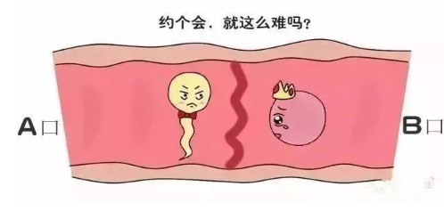 电影预产期