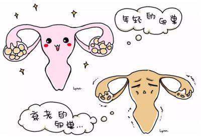 电教馆家庭教育指导师证书