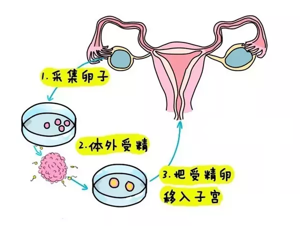 生命教育
