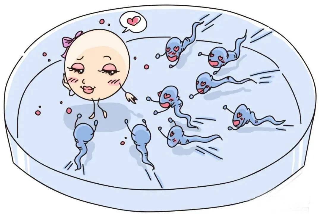 生男生女顺口溜