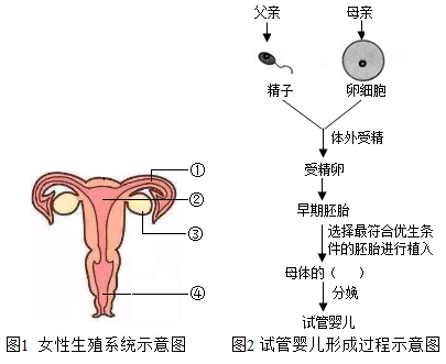 男性不孕不育