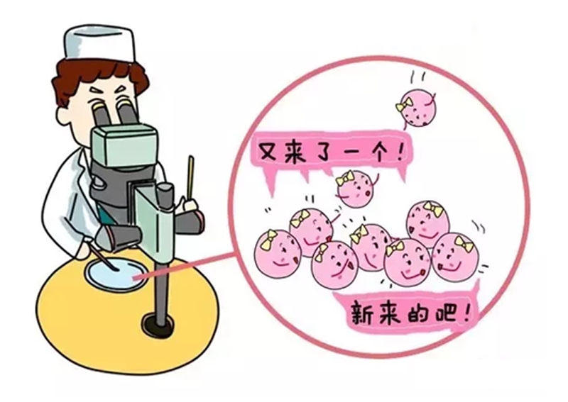 性别