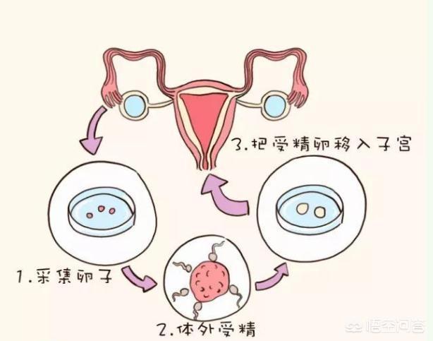 生命教育