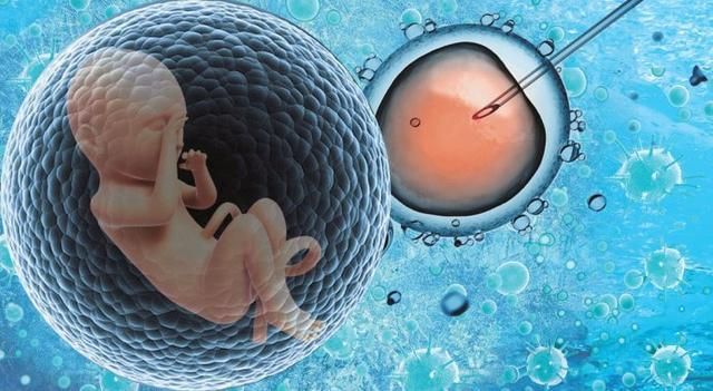 电视剧分娩视频