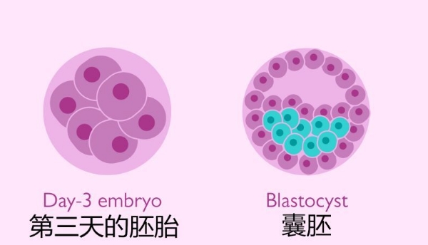 着床出血