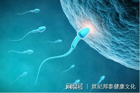 着床出血