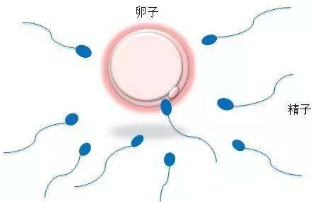 着床出血