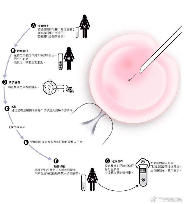 着床出血