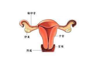 着床出血