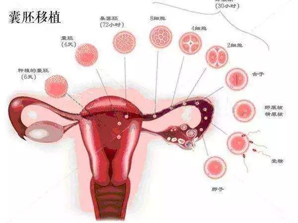 着床出血