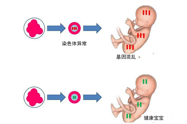 着床出血