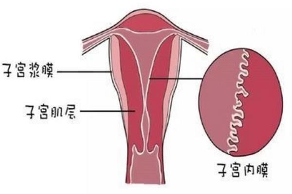 着床出血