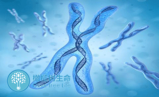 着床出血