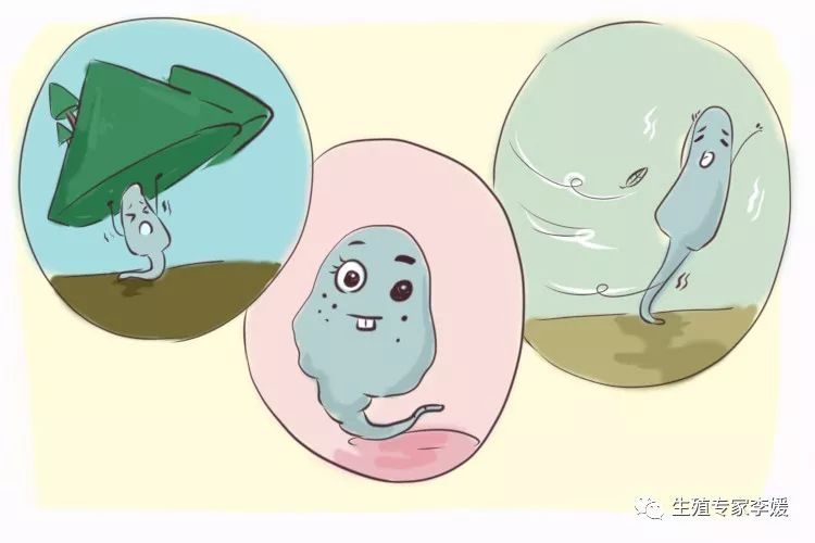 着床出血