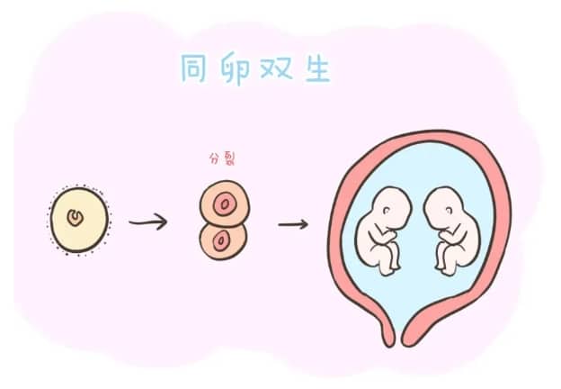着床几天可以测到
