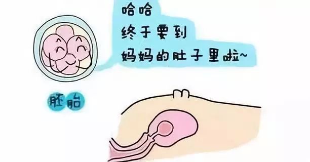 试管婴儿